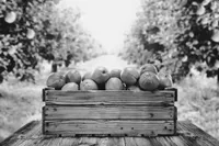 Read more about the article THE TOP 10 TANGIEST POWER USER TIPS